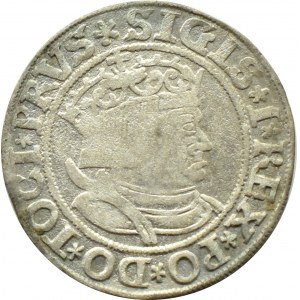 Sigismund I the Old, 1534 penny, Torun, PRVS/PRVSSIE