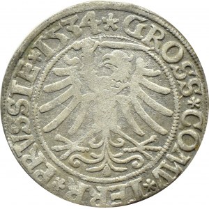Sigismund I the Old, 1534 penny, Torun, PRVS/PRVSSIE