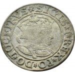 Sigismund I the Old, 1534 penny, Torun, PRVS/PRVSSIE