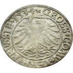 Sigismund I the Old, 1534 penny, Torun, PRVS/PRVSSIE