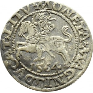 Zygmunt II August, półgrosz 1564, LITV/L, Wilno