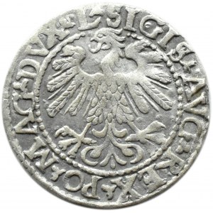 Zygmunt II August, półgrosz 1559, Wilno, LITV/L