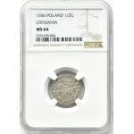 Zygmunt II August, półgrosz 1556, Wilno, LITVA/LI, NGC MS64