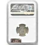 Zygmunt II August, półgrosz 1556, Wilno, LITVA/LI, NGC MS64