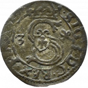 Žigmund III Vasa, ternar 1624, Łobżenica