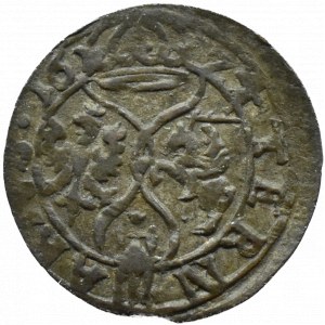 Žigmund III Vasa, ternar 1624, Łobżenica