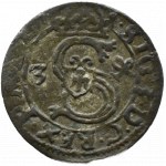 Žigmund III Vasa, ternar 1624, Łobżenica
