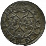 Žigmund III Vasa, ternar 1624, Łobżenica