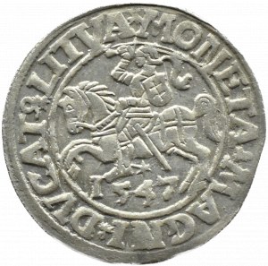Sigismund II Augustus, half-penny 1547, Vilnius