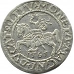 Zygmunt II August, półgrosz 1561, Wilno, LITV/L