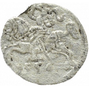 Zygmunt II August, denar 1556, Wilno