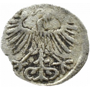 Zygmunt II August, denar 1556, Wilno