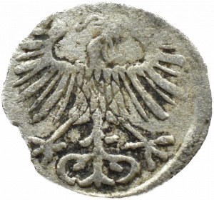 Sigismund II Augustus, denarius 1556, Vilnius