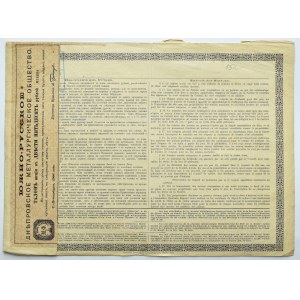 Russia, North-Russian Metallurgical Plant, stock for 250 rubles from 1906