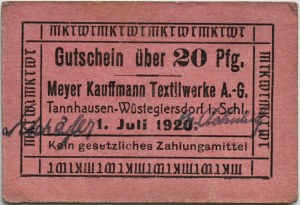 Tannhausen-Wüstegiersdorf/Jedlinka-Zdrój (Silesia), 20 Pfennig 1920, RARE