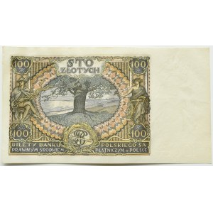 Polska, II RP, 100 złotych 1934, seria BH., Warszawa, dodatkowy znak wodny na marginesie I I