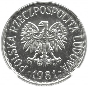 Poland, PRL, 1 zloty 1981, Warsaw, rarer vintage, NGC MS64PL