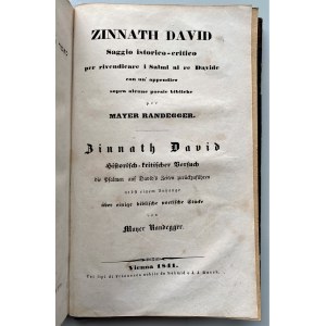 Mayer Randegger, Zinnath David 1841.