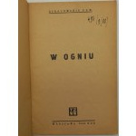 W ogniu Pamięci Żołnierzy Armii Krajowej poległych w walce zbrojnej z terrorem niemieckiej okupacji