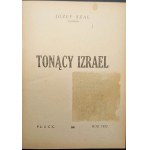 Joseph Shal (Neophyt) Ertrinkendes Israel 1932