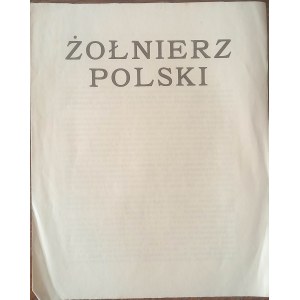 Polský voják Tisk