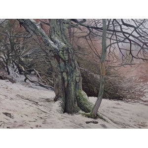 Wojciech Pater (pseud. Fladrif), Wild Trees. Bystrzyckie-Gebirge 2, 2018.