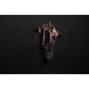 Lukasz Wodinski, From the series Post Antropo Forms, 2022.