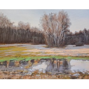 Marcin Jaszczak, Landscape