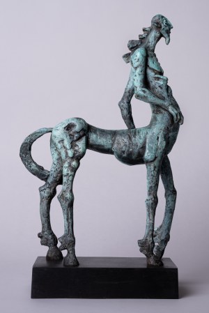 Robert Dyrcz, Centaur