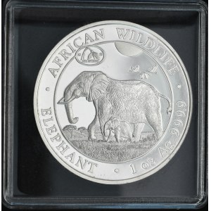 Somalia, 2021r., Słoń, African Wildlife, PrivyMark