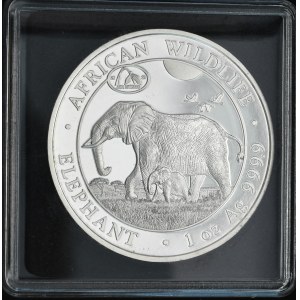 Somalia, 2021, Elefant, Afrikanische Tierwelt, PrivyMark