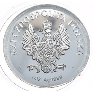 Głowa kobiety, 1 oz., Ag 999, BU, opis (destrukt) (D)