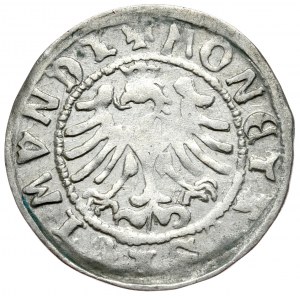 Sigismund I the Old. half-penny without date, Cracow