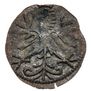 Sigismund I. der Alte, Denar ohne Datum SP, Krakau, Buchstaben SP in der Krone, in der Krone Buchstabe S