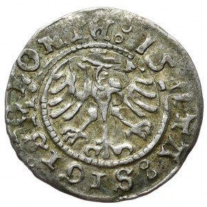 Sigismund I. der Alte, halber Pfennig, Krakau