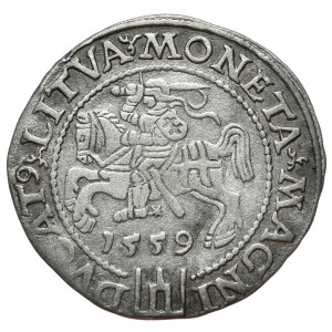 Žigmund II August, groš na litovskú nohu 1559, Vilnius