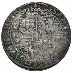 Sigismund III Vasa, ort 1622 Bydgoszcz, PRVS: M+, open Sas coat of arms