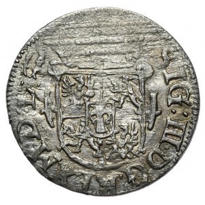 Zygmunt III Waza, półtorak 1619 Wilno - Rzadkość