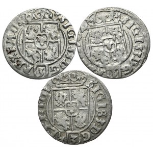 Zestaw półtoraków Zygmunta III Wazy 1623,1624,1625r.