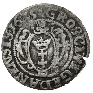 Zygmunt III Waza, Grosz 1625, Gdańsk, litera Z w dacie, rzadki