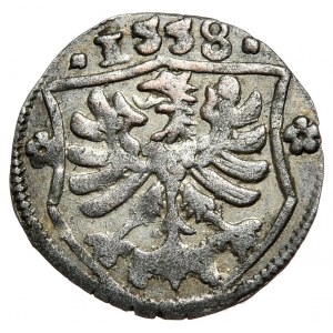 Brandenburgia-Prusy, Joachim II, trzeciak 1558, Berlin, rzadki