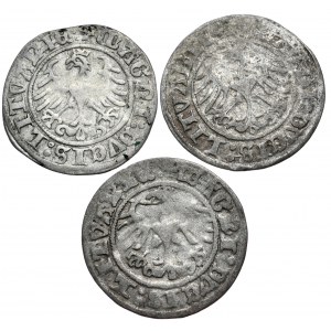 Zygmunt I Stary, zestaw półgroszy 1509, 1510 i 1512, Wilno