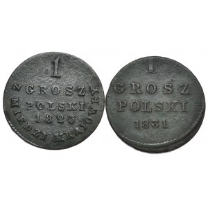 Zestaw, rzadki grosz 1831r oraz grosz z miedzi krajowej 1823r
