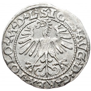 Zygmunt II August, Półgrosz 1563, Wilno - L/LITV, mała Pogoń