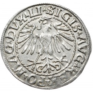 Zygmunt II August, Półgrosz 1548, Wilno - LI/LITVA, rzymska jedynka w dacie