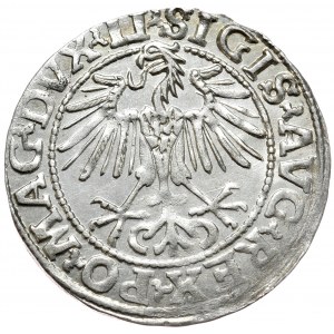 Zygmunt II August, Półgrosz 1548, Wilno - LI/LITVA, arabska jedynka w dacie