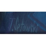Tomasz Sętowski (ur. 1961, Częstochowa), Niezdobyta forteca, 2003/2004