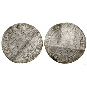 Poľsko, penny, 1536, Vilnius