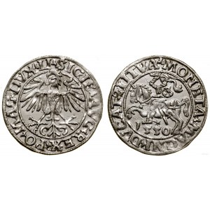 Polska, półgrosz litewski, 1550, Wilno
