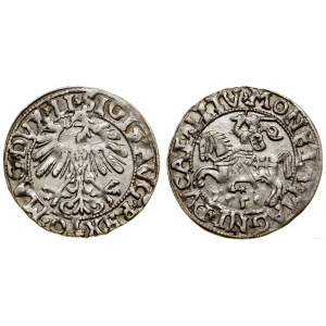 Polska, półgrosz litewski, 1558, Wilno